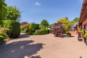 Photo 24- click for photo gallery